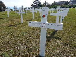 Crosses on Waiheke Island
